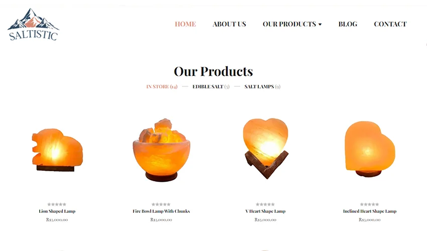 Company Website Development